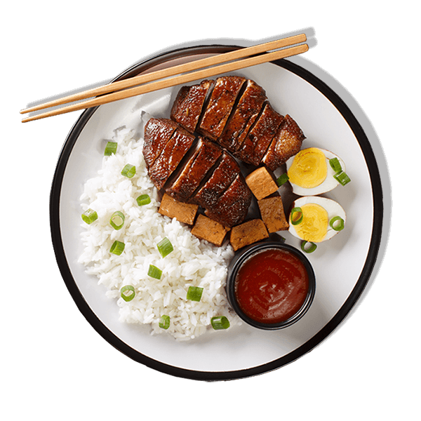 Singapore Teochew Duck with rice 600x600